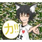 ウコンのカ
