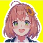 本間ひまわり
