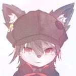 ねこばす