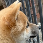 userPhoto