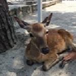ユーザー画像