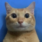 たっぴ