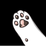 のくりねこ