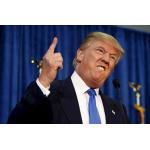 田中フクロウ