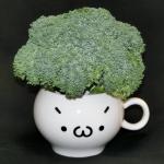 パパめし