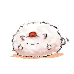 即席らーめん(味噌)