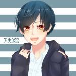 パミ