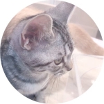 userPhoto