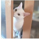 ユーザー画像