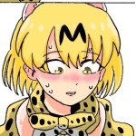 びっくりしすぎる猫