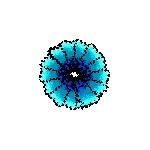 koumorin