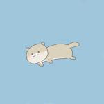 犬科 ねこ