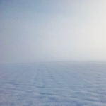 userPhoto