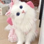 ユーザー画像