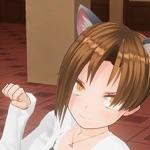 名もなき迷い猫
