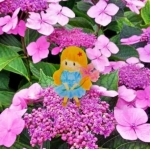 userPhoto