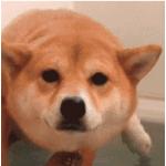 あまつまさや