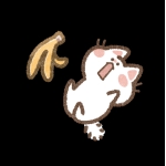 userPhoto