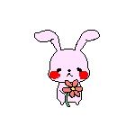 Rose＊