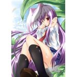 はぴねす