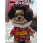 userPhoto