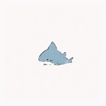userPhoto