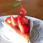 userPhoto