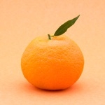 userPhoto