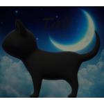 噛ませな仔猫