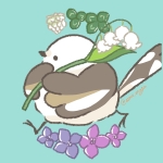 userPhoto