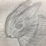 みずな