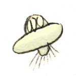 すっとこどっこいパンデモに産む