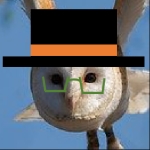 みどりのふくろう