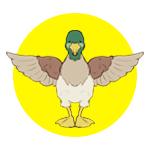 こよはる