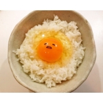 たまごだけごはん
