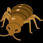 害虫