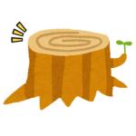 きょぼん
