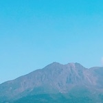 userPhoto