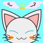 天☆猫