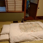 ぽぽたん