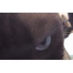 userPhoto