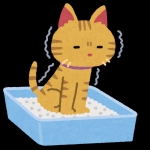 じょーげ