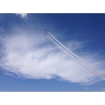 userPhoto
