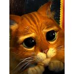 aisk