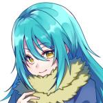 鴨時