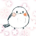 userPhoto