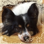 userPhoto
