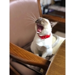 ユーザー画像