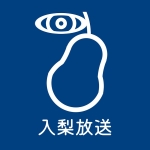 Ti 入梨放送
