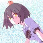 しいはく